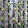 9. Међународни Фестивал Науке 2015.
